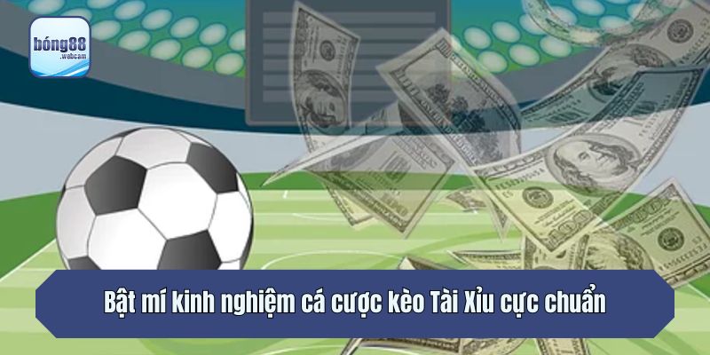 Bật mí kinh nghiệm cá cược kèo Tài Xỉu cực chuẩn