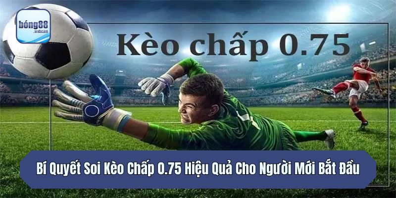 Bí Quyết Soi Kèo Chấp 0.75 Hiệu Quả Cho Người Mới Bắt Đầu