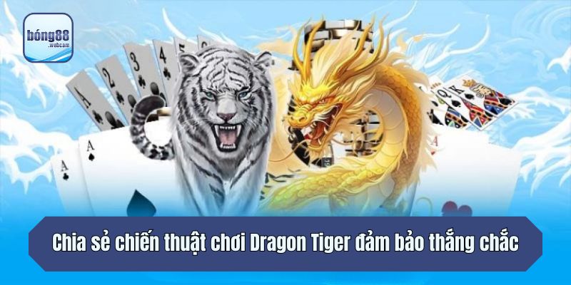Chia sẻ chiến thuật chơi Dragon Tiger đảm bảo thắng chắc