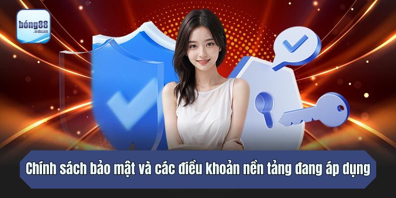 Chính sách bảo mật và các điều khoản nền tảng đang áp dụng