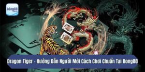 Dragon Tiger - Hướng Dẫn Người Mới Cách Chơi Chuẩn Tại Bong88