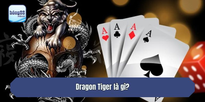 Dragon Tiger là gì?