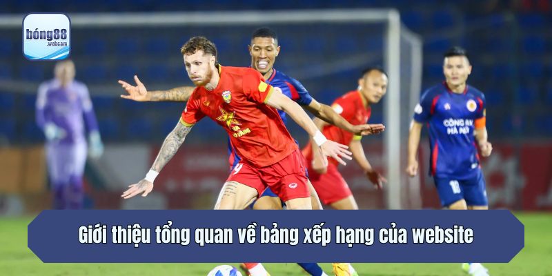 Giới thiệu tổng quan về bảng xếp hạng của website