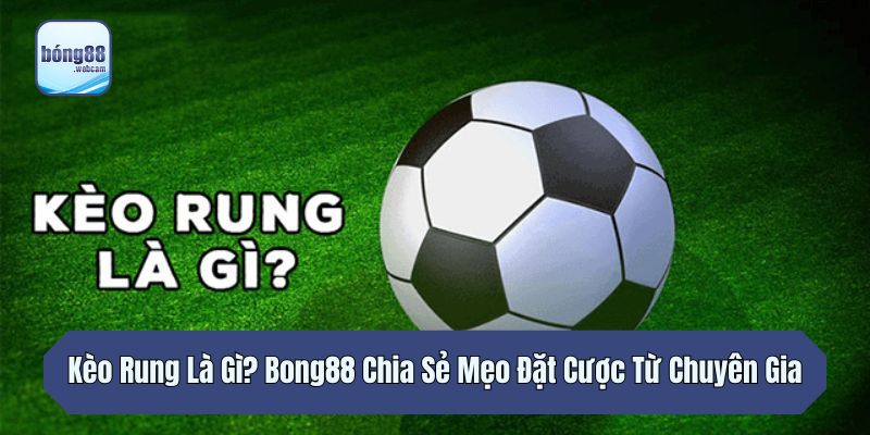 Kèo Rung Là Gì? Bong88 Chia Sẻ Mẹo Đặt Cược Từ Chuyên Gia