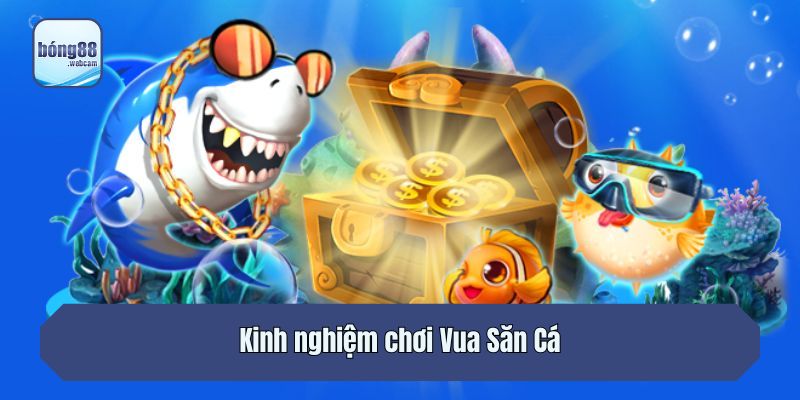 Kinh nghiệm chơi Vua Săn Cá