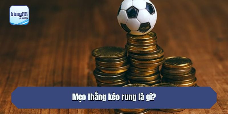 Mẹo thắng kèo rung là gì?