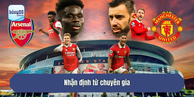 Nhận định từ chuyên gia