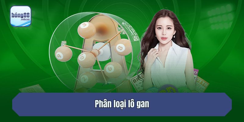 Phân loại lô gan