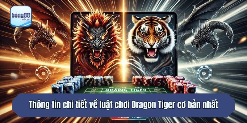 Thông tin chi tiết về luật chơi Dragon Tiger cơ bản nhất