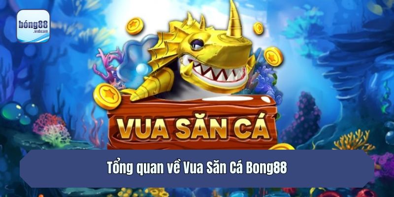 Tổng quan về Vua Săn Cá Bong88