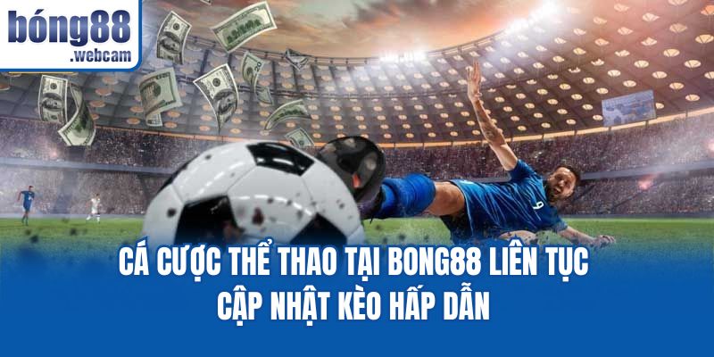 Cá cược thể thao tại Bong88 liên tục cập nhật kèo hấp dẫn